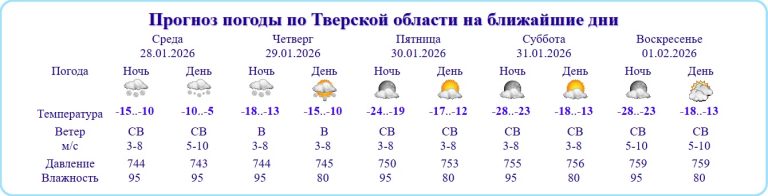 На смену снегопадам в Тверскую область идут морозы до 28 градусов