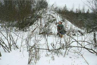 В заповеднике Тверской области нашли бобровый «небоскрёб»