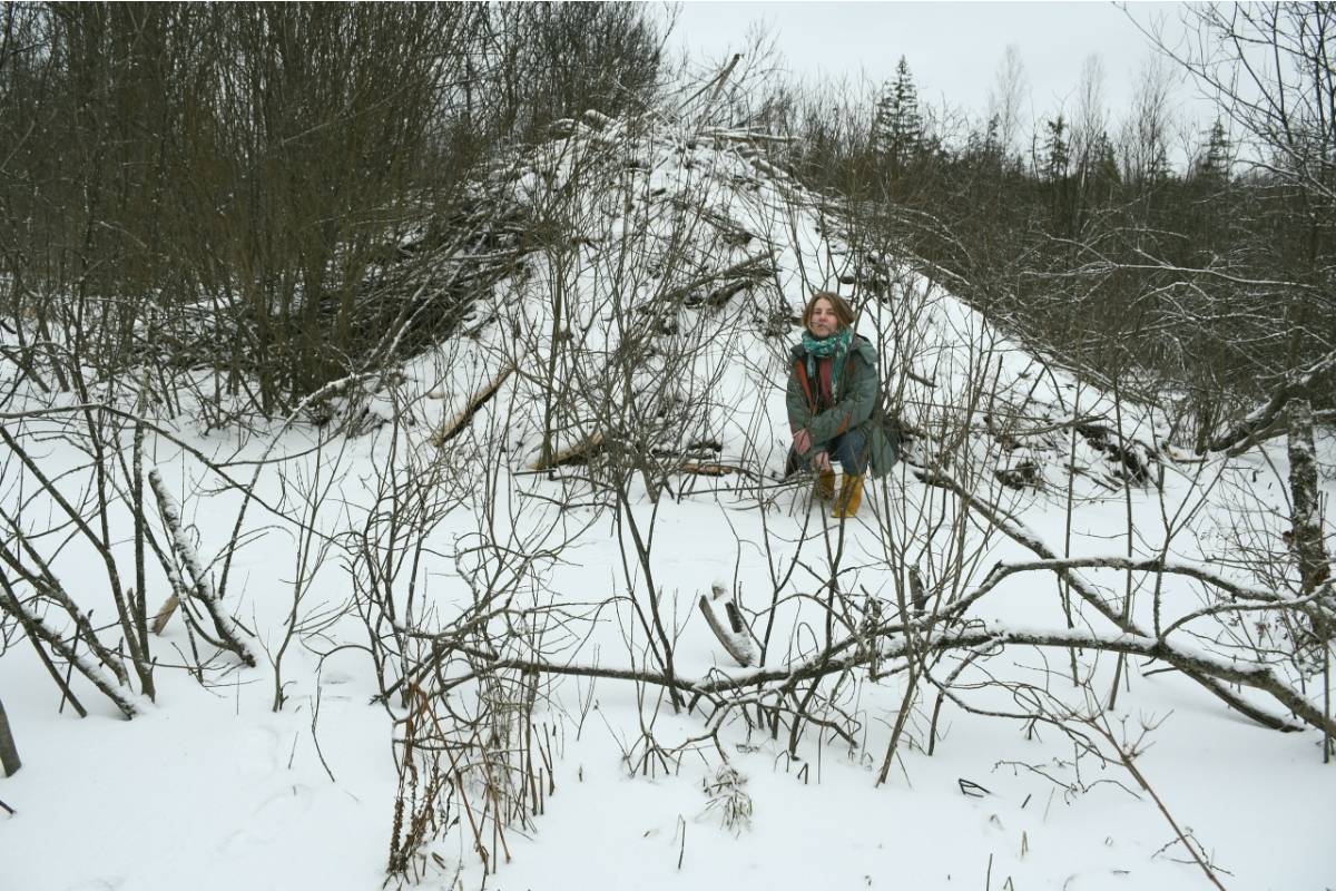 В заповеднике Тверской области нашли бобровый небоскрёб