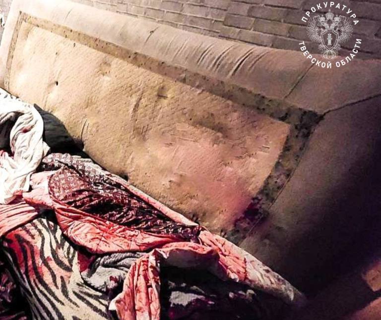 В Тверской области женщина тремя ударами ножа поставила смертельную точку в драке с сожителем