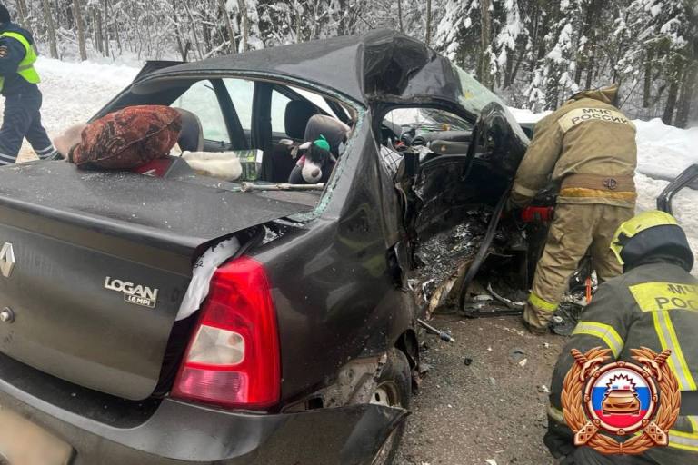 Ребенок погиб в столкновении легковушки с ГАЗелью в Тверской области