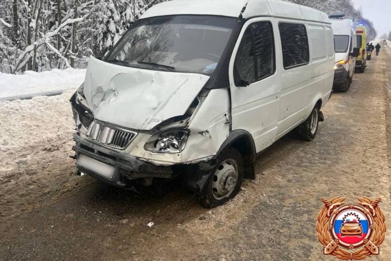 Ребенок погиб в столкновении легковушки с ГАЗелью в Тверской области