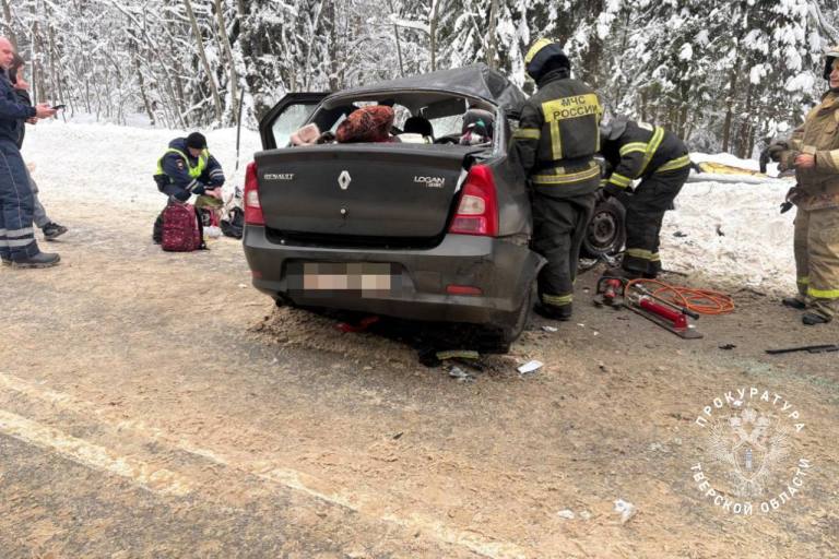 Ребенок погиб в столкновении легковушки с ГАЗелью в Тверской области