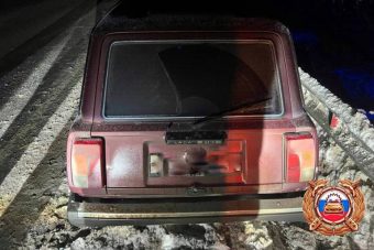 Два человека пострадали в ДТП с лосем в Тверской области