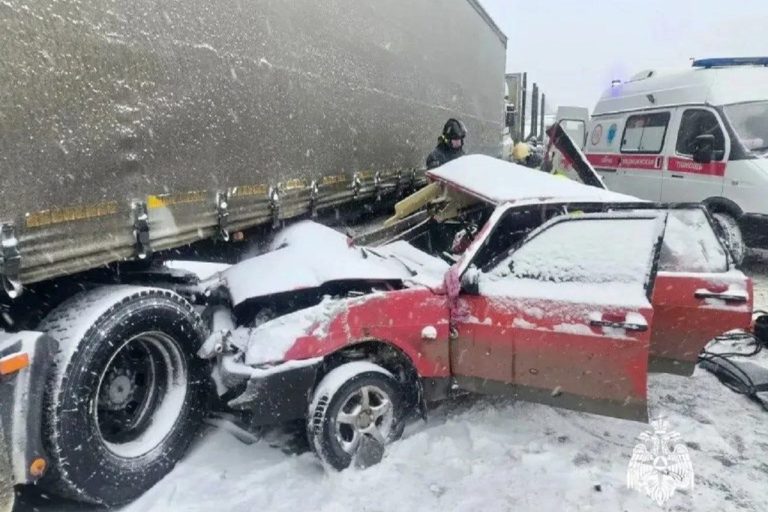 Стали известны подробности смертельного ДТП на М-10 в Тверской области