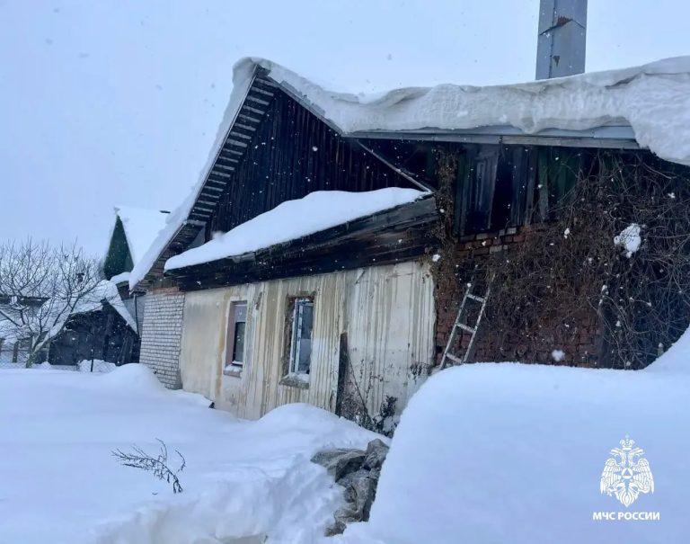 Тверские спасатели показали видео с реанимацией кота после пожара