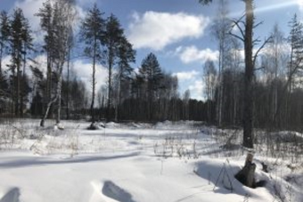 Неиспользуемую пашню изымут у собственника в Тверской области Неиспользуемую пашню изымут у собственника в Тверской области