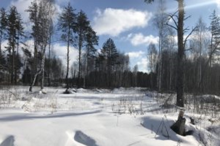 Неиспользуемую пашню изымут у собственника в Тверской области