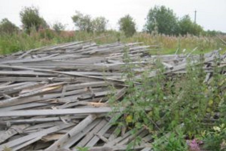 Крупную несанкционированную свалку на сельхозугодьях выявили под Тверью