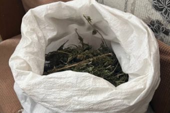 Житель Тверской области хранил дома килограмм конопли Житель Тверской области хранил дома килограмм конопли