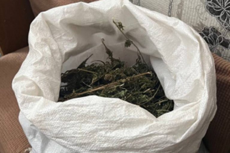 Житель Тверской области хранил дома килограмм конопли