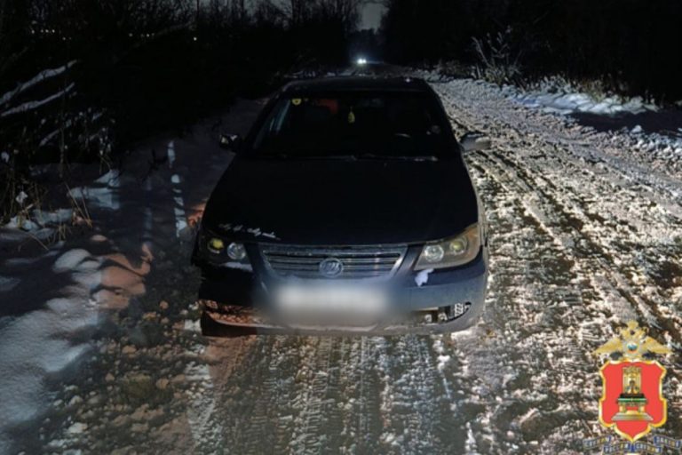 Нетрезвую автоледи без прав остановили инспекторы ДПС в Тверской области