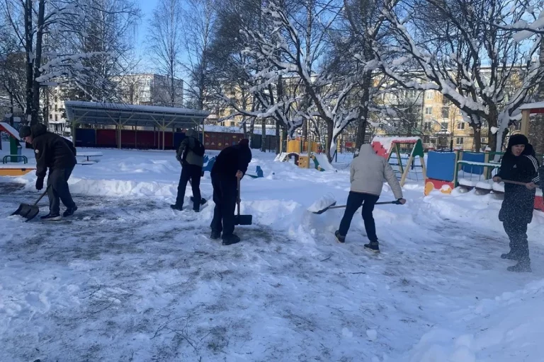 Озвучены первые итоги масштабного снежного субботника в Тверской области