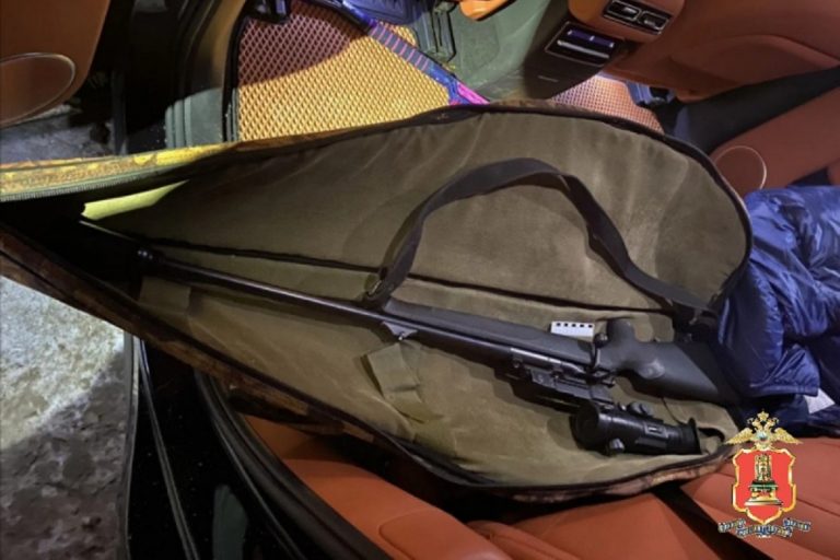 Задержан 60-летний браконьер, застреливший лосиху в Тверской области