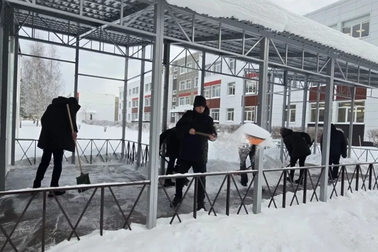 Озвучены первые итоги масштабного снежного субботника в Тверской области