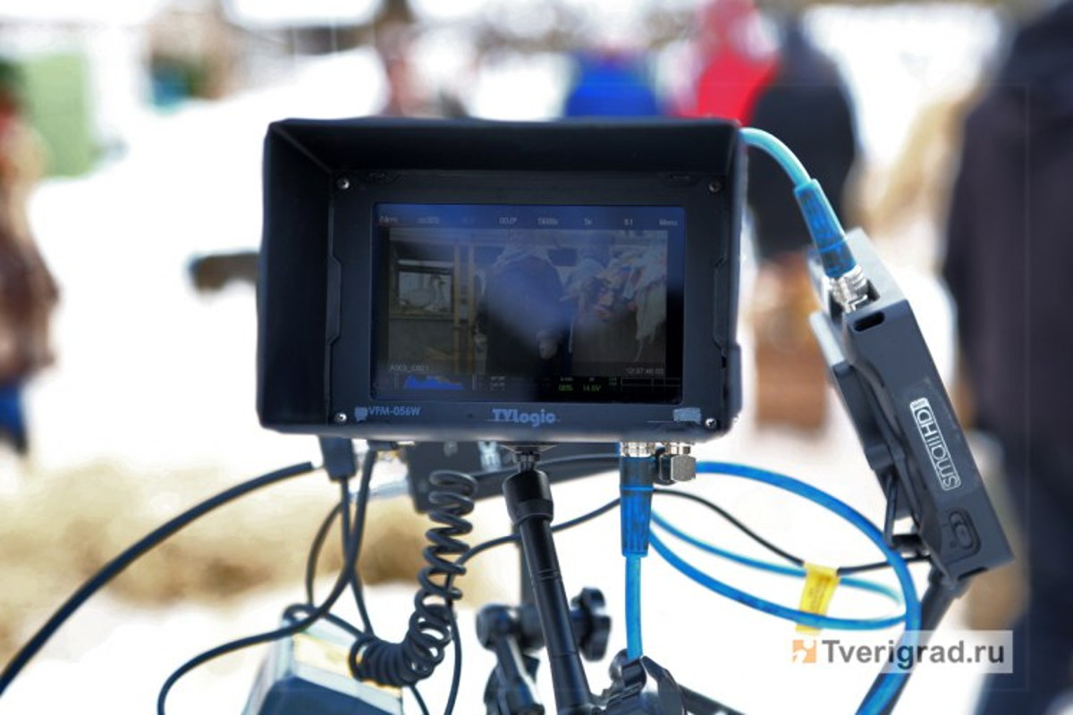 Опрос Авито Путешествий и КИОН: каждый пятый россиянин мечтает посетить локации из кино и сериалов