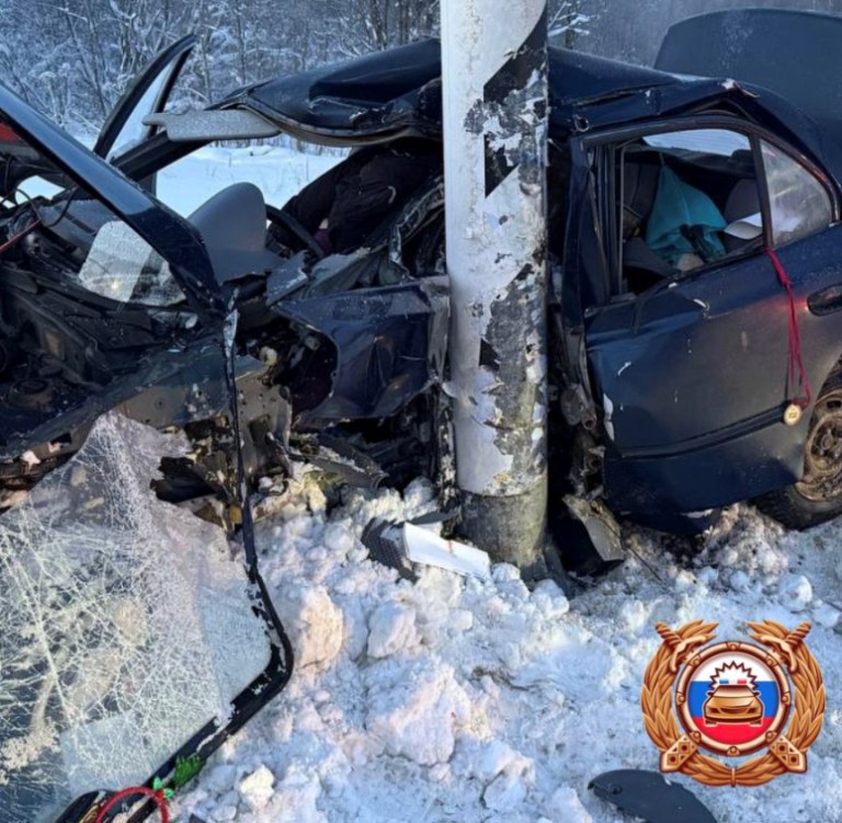 На М-10 в Тверской области легковушка протаранила столб, погибла водитель