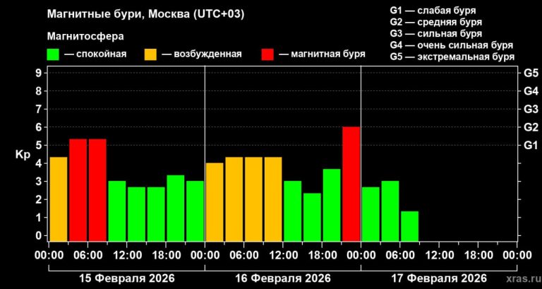 Жители Тверской области ночью проспали 2 странных события