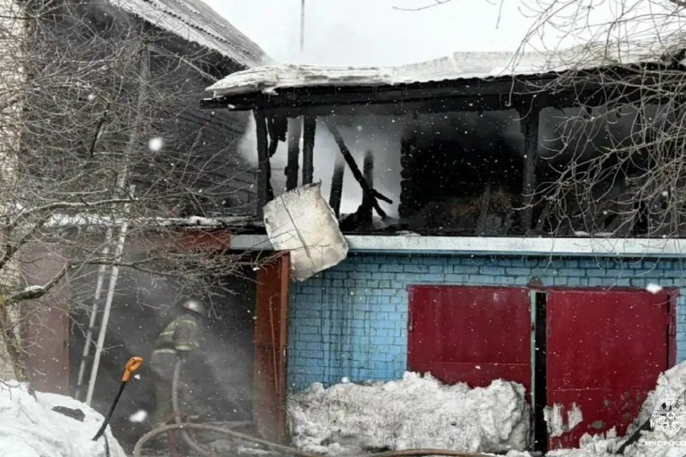 Собака спасла хозяев от пожара в Тверской области