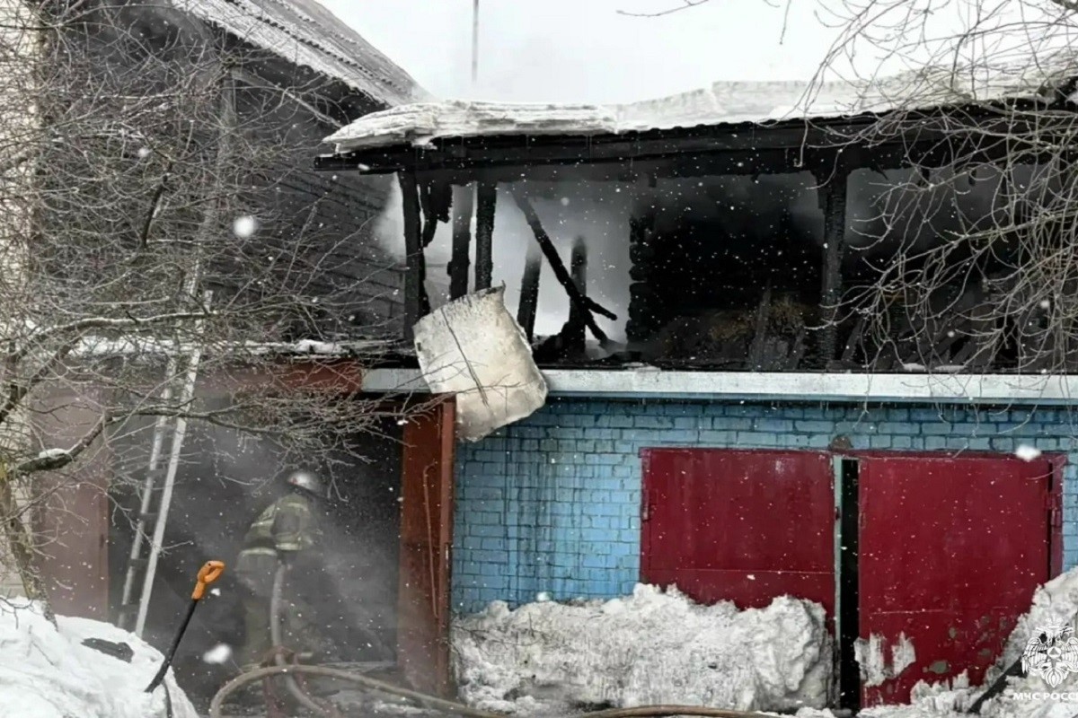 Собака спасла хозяев от пожара в Тверской области