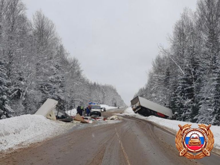 Двое погибли, двое ранены в жутком ДТП в Тверской области