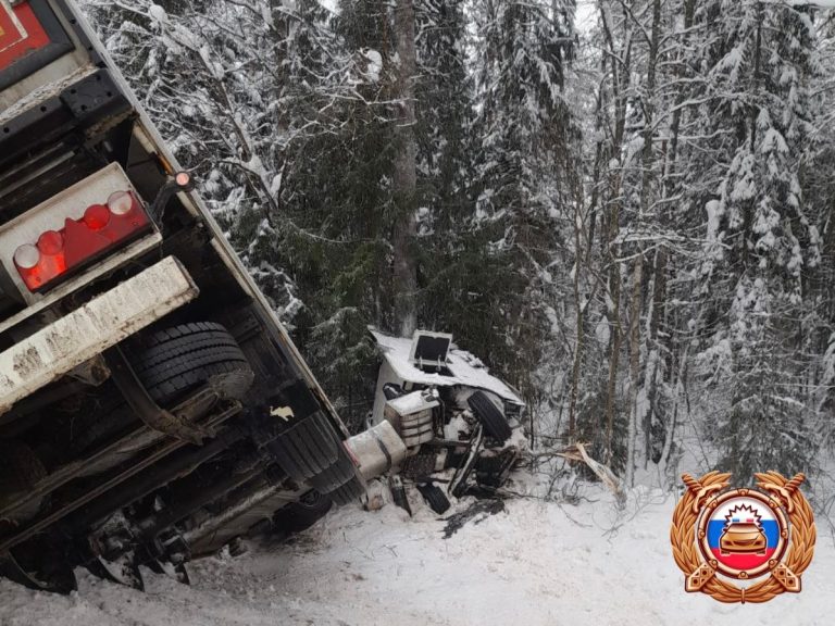 Двое погибли, двое ранены в жутком ДТП в Тверской области