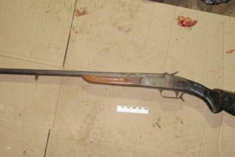 В Тверской области задержали браконьеров, застреливших лося