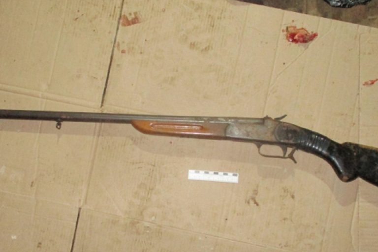 В Тверской области задержали браконьеров, застреливших лося