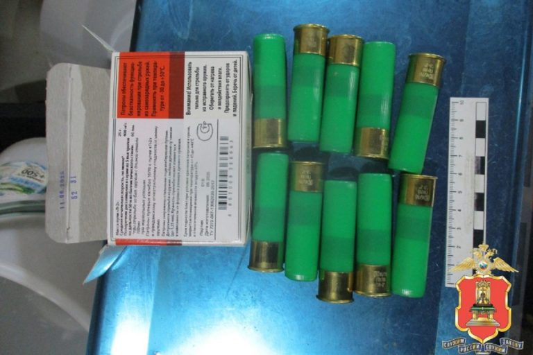 В Тверской области задержали браконьеров, застреливших лося