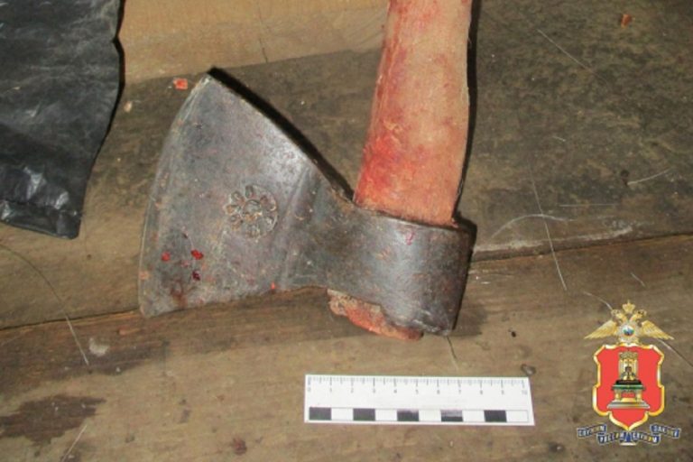 В Тверской области задержали браконьеров, застреливших лося