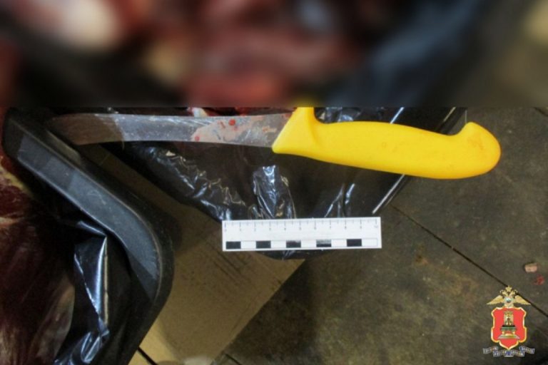 В Тверской области задержали браконьеров, застреливших лося