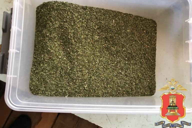 Житель Тверской области хранил около килограмма марихуаны