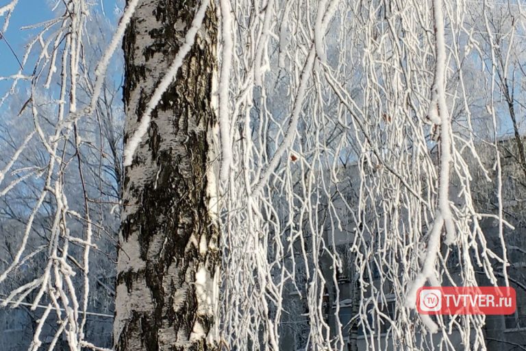 Более 40% от месячной нормы осадков выпало за сутки в Тверской области