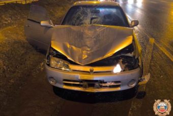 Перебегавшая трассу М-10 женщина попала под колеса в Тверской области Перебегавшая трассу М-10 женщина попала под колеса в Тверской области