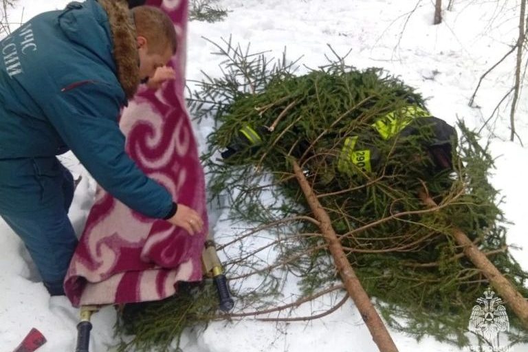 Заблудившегося в лесу мужчину чудом спасли в Тверской области