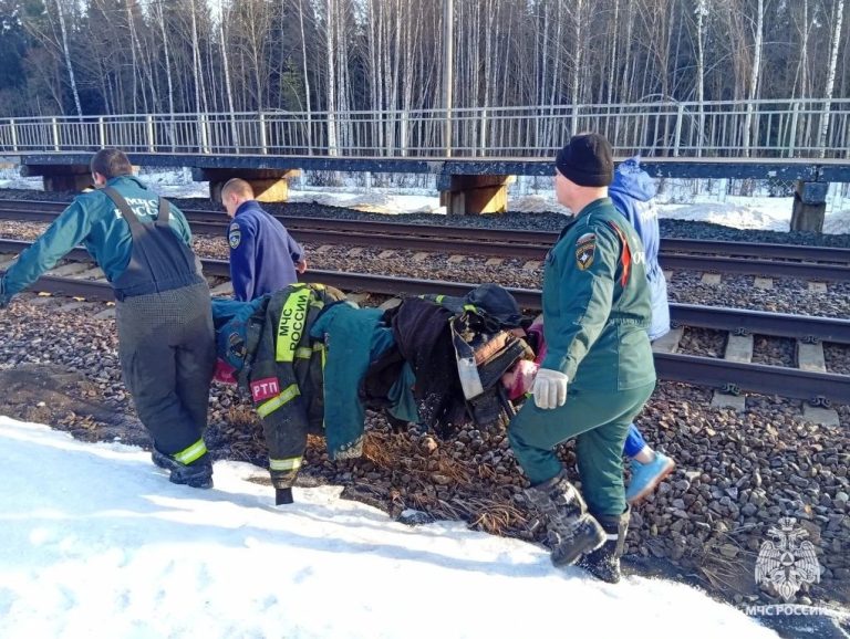 Заблудившегося в лесу мужчину чудом спасли в Тверской области