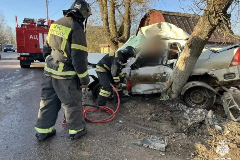В Тверской области легковушка протаранила дерево