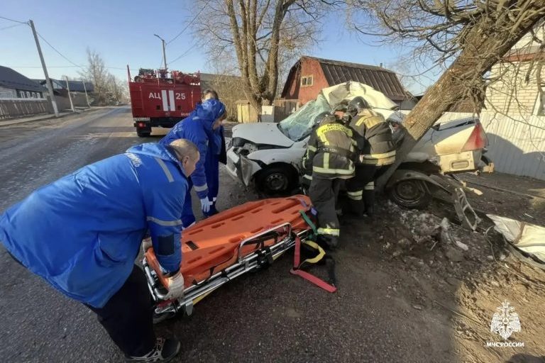 В Тверской области легковушка протаранила дерево