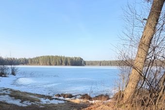 Тело мужчины обнаружено в озере в Тверской области