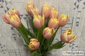 Специалист рассказала, как сохранить тюльпаны после 8 марта