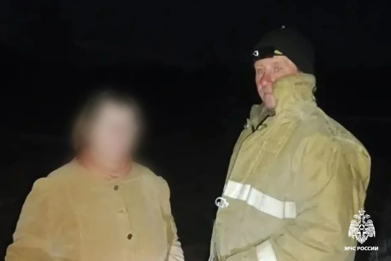 В Тверской области спасатели помогли заблудившейся женщине найти дорогу