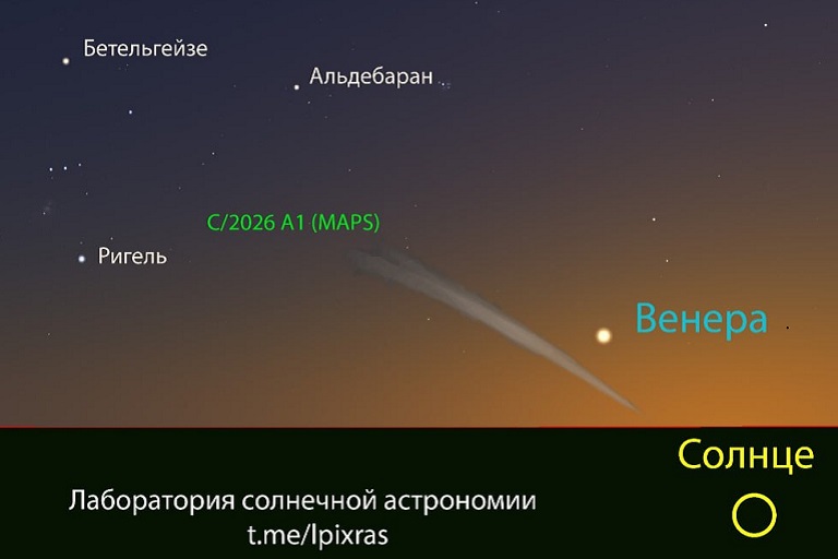 Жители Тверской области смогут увидеть комету-самоубийцу