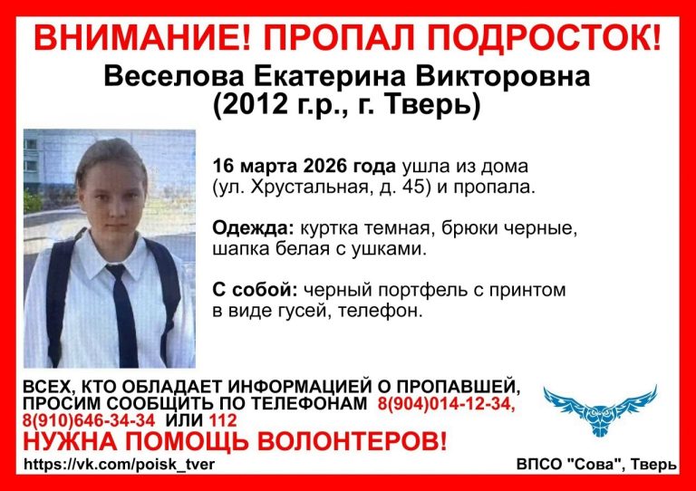 Поисковый отряд выступил с заявлением по поводу розыска пропавших в Твери детей