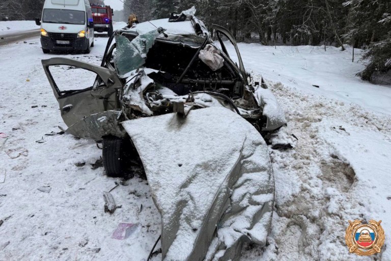 В Тверской области водитель Renault Duster погиб в столкновении с КАМАЗом