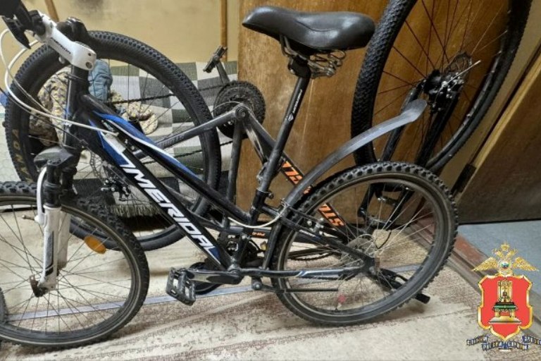 В Тверской области задержаны серийные похитители велосипедов