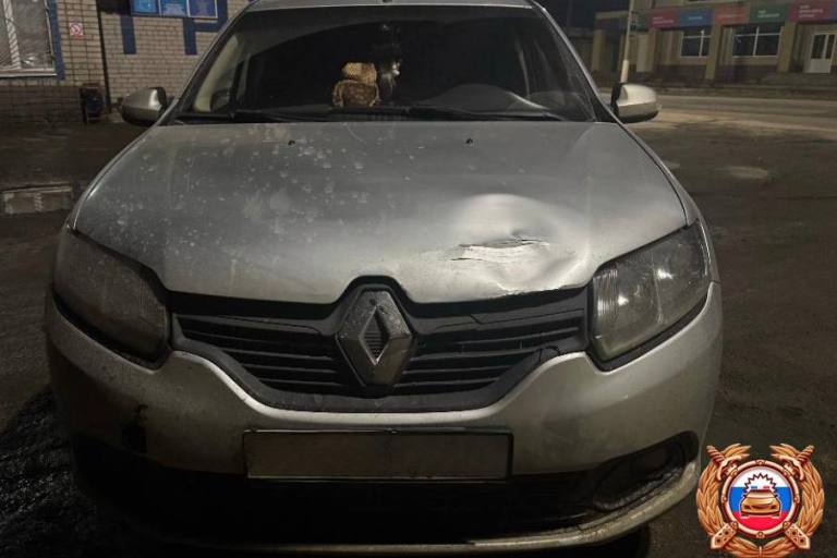 На пешеходном переходе в Тверской области девочка попала под колеса Renault