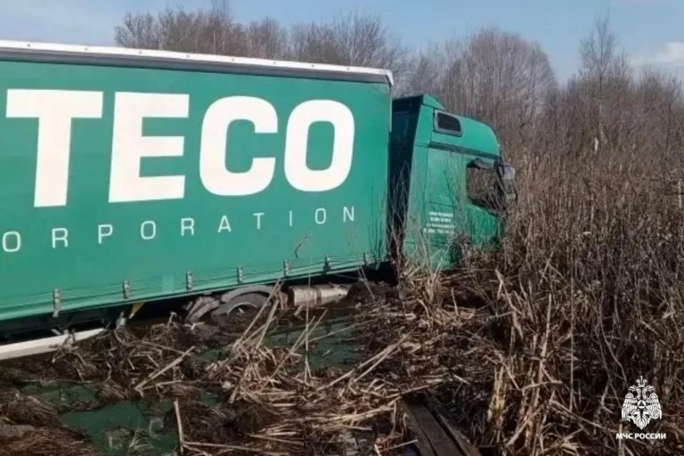 Фура и две легковушки столкнулись на М-10 в Тверской области