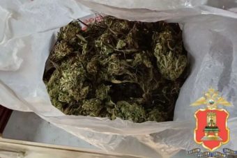 У жителя Тверской области изъяли полкилограмма марихуаны