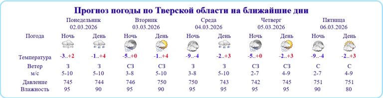 В Тверской области будет тепло и сыро