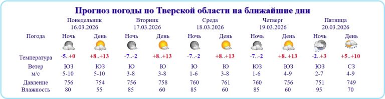 В Тверской области на 3 дня погода объявлена потенциально опасной